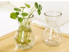 風信子玻璃花瓶